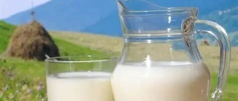 乳業(yè)透視：分化陣痛中轉(zhuǎn)型，價(jià)值升維里突圍