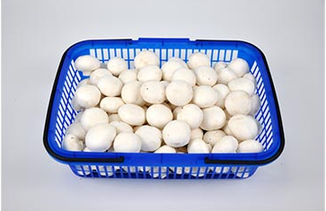 SIAL西雅展（深圳）