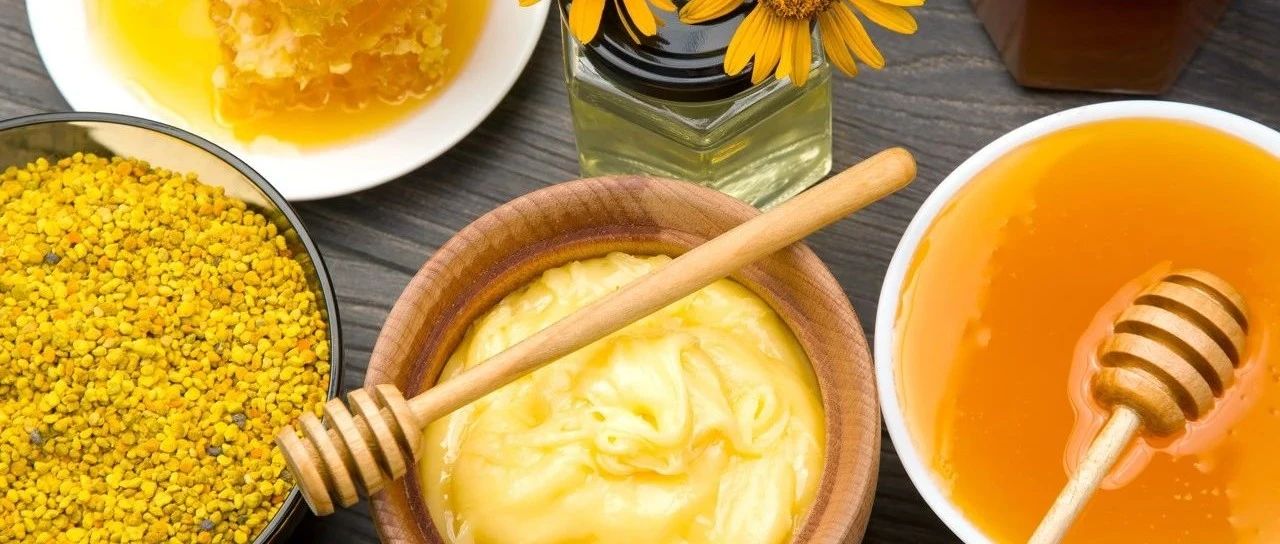 健康食品展商名錄首發(fā)！功能性、創(chuàng)新營養(yǎng)、有機天然，森蜂園、艾華生物等“硬核實力”搶先看！