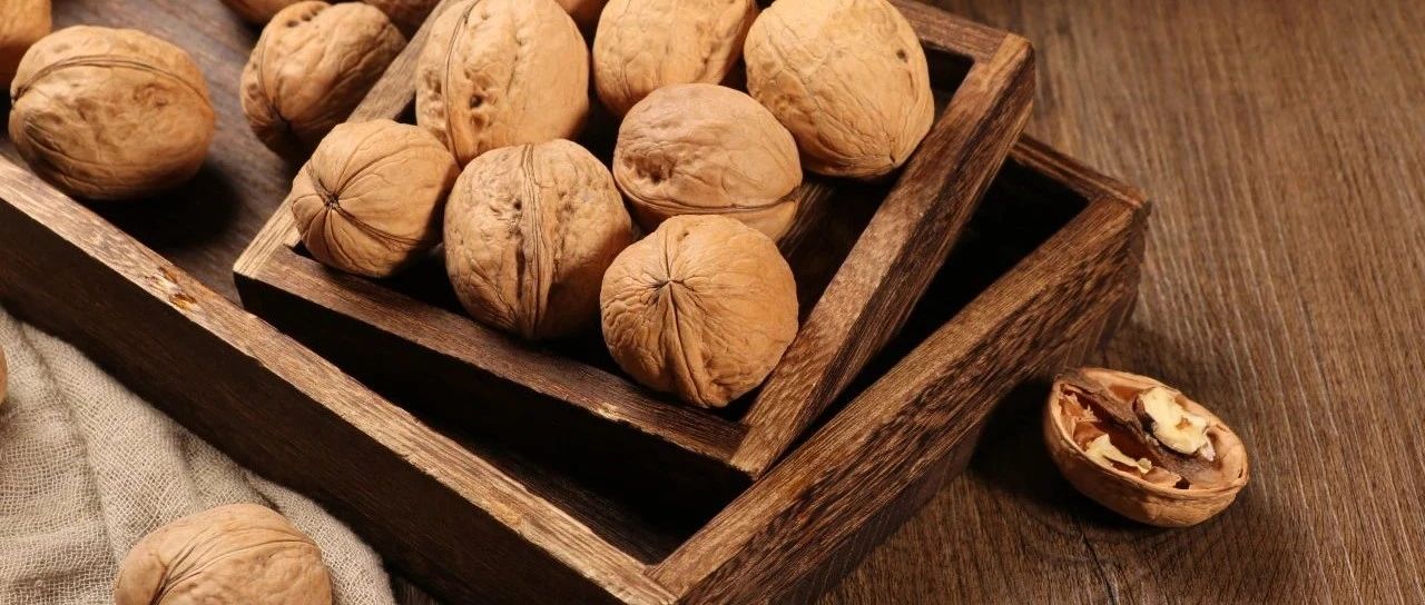 SIAL中餐廳今日正式開(kāi)賽！感受傳統(tǒng)魅力，品味中餐經(jīng)典！