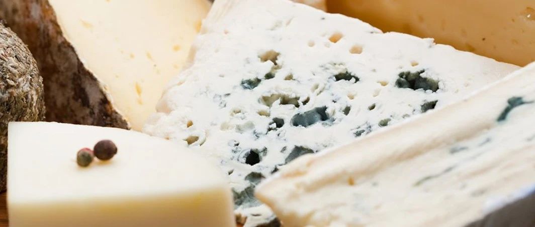 在社媒越來越火的奶酪，未來還能走多遠