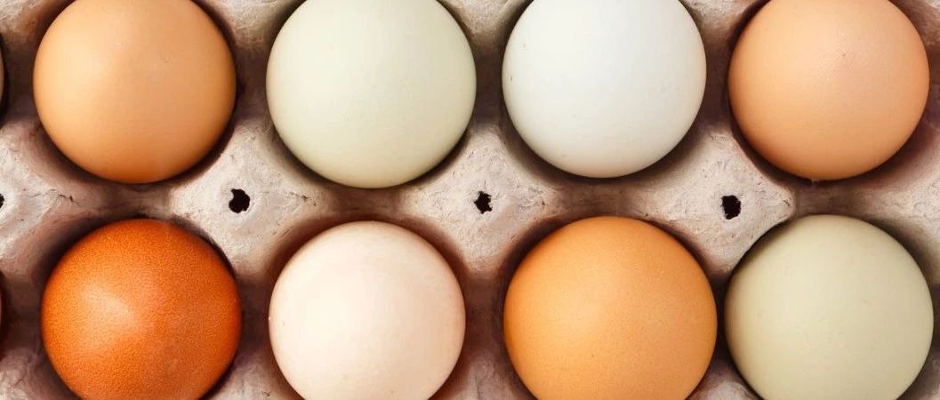 美國雞蛋有多貴？食品飲料品牌如何應(yīng)對原料不確定性 | 英敏特洞察